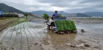 다음을 시작페이지로 설정하기에 대한 브라우저설정_17