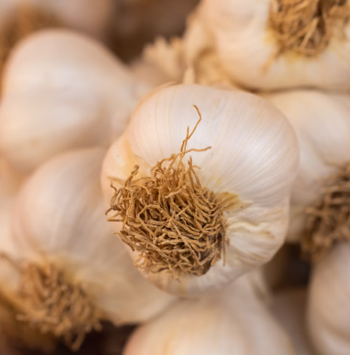 마늘 효능 효과 부작용 당뇨 혈관 건강