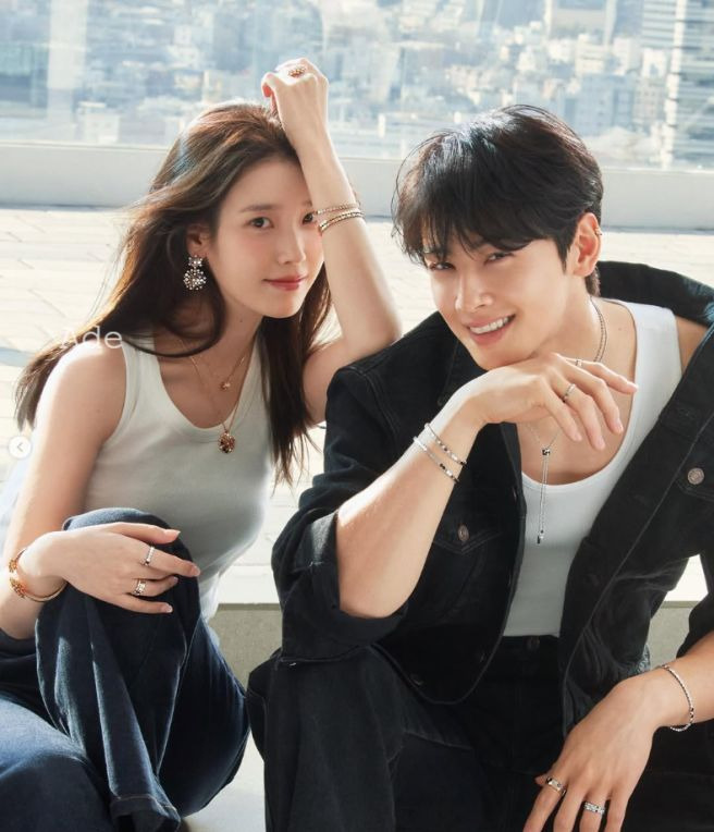 차은우 조세심판 청구 이유: 국세청 130억 세금 완납, 연예인 1인 기획사 실질과세 쟁점 정밀 분석