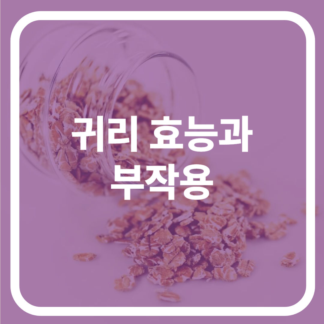 귀리 효능과 부작용