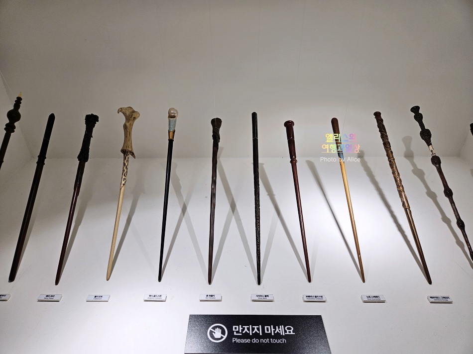 DDP 전시 후기 워너브라더스 100주년 특별전 10% 할인예약