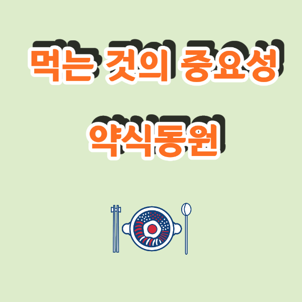 약식동원 먹는것