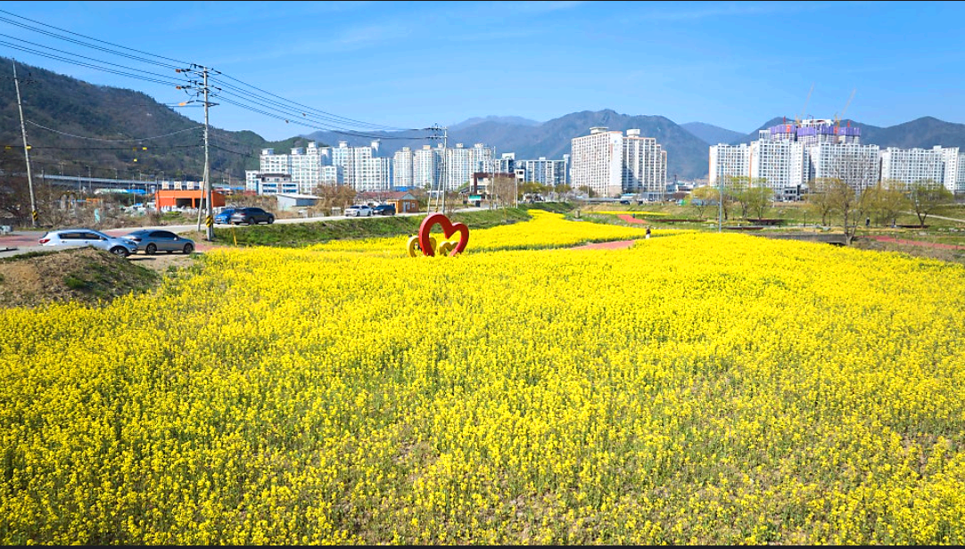 화순 봄꽃축제