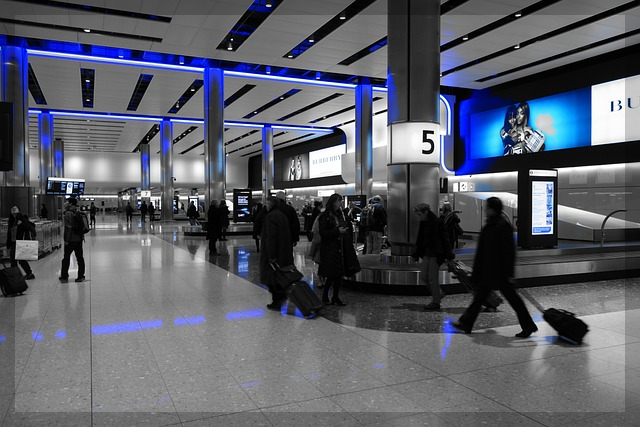 제주항공 수하물 초과 요금 기준&amp;#44; 위탁 수화물 부담 없이 준비하는 법