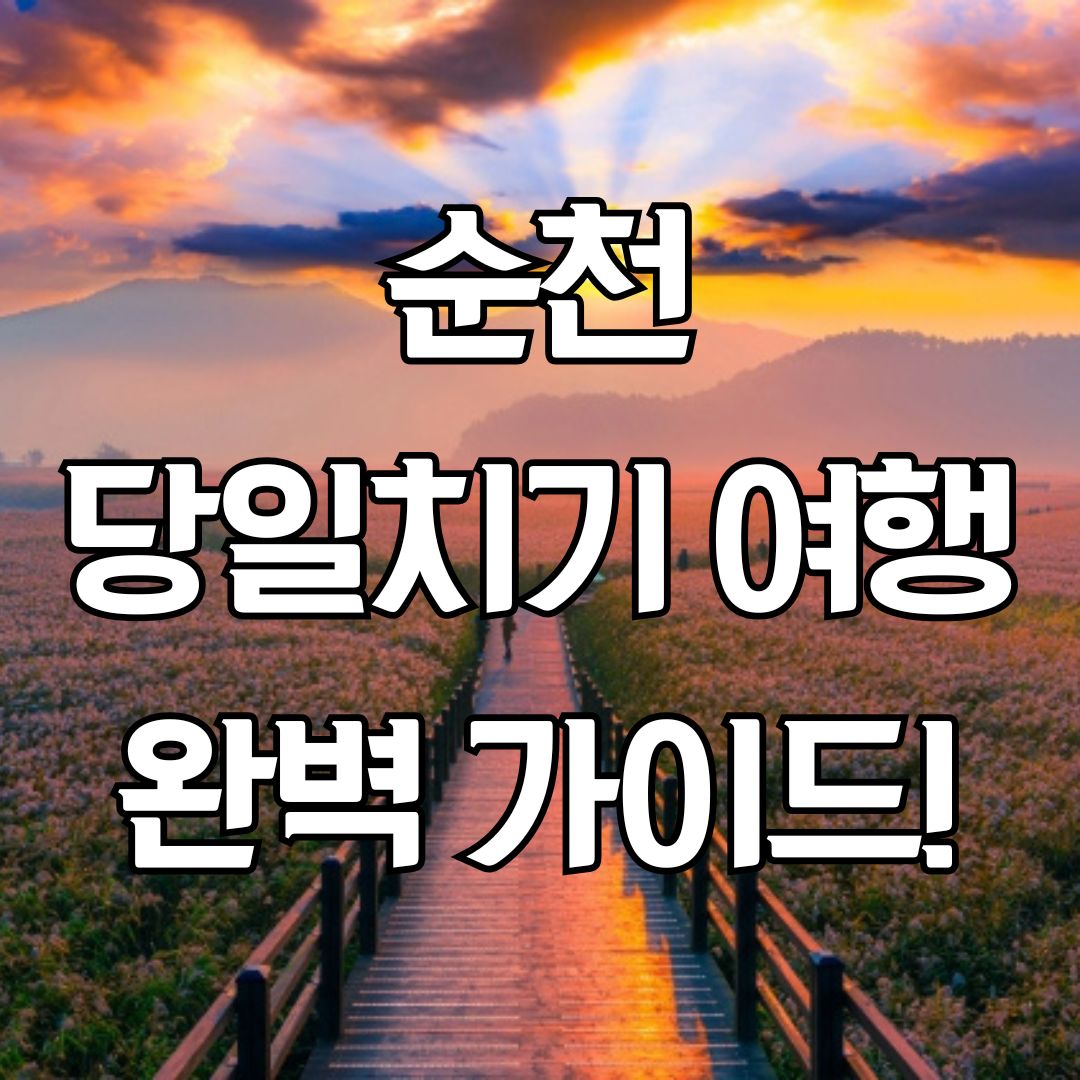 순천 당일치기 여행코스 총정리!