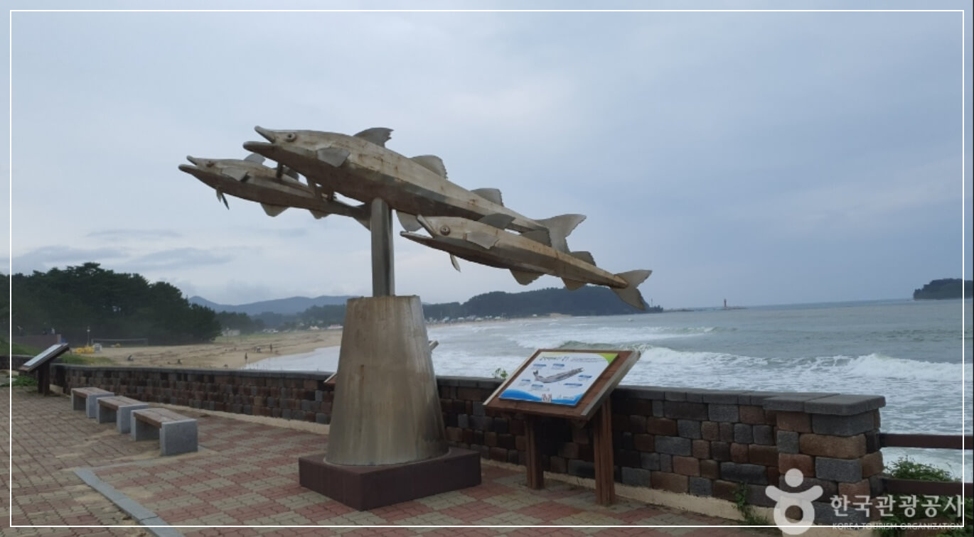 고성 가볼만한곳 베스트10 화진포 해수욕장