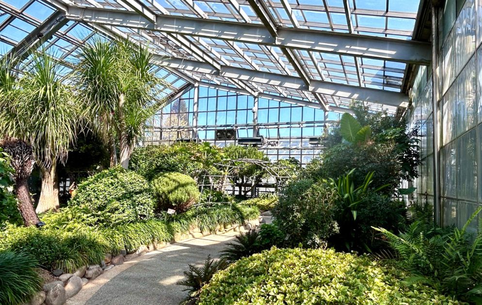 평택시자연테마식물원