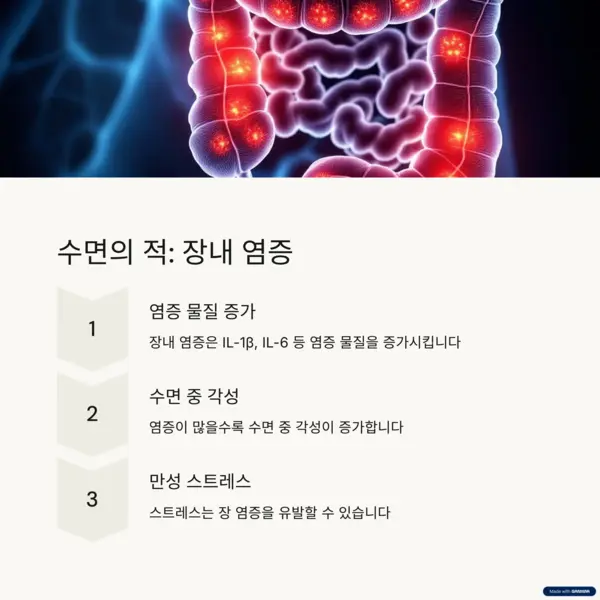 장내 염증이 수면에 미치는 영향을 보여주는 인체 장 이미지