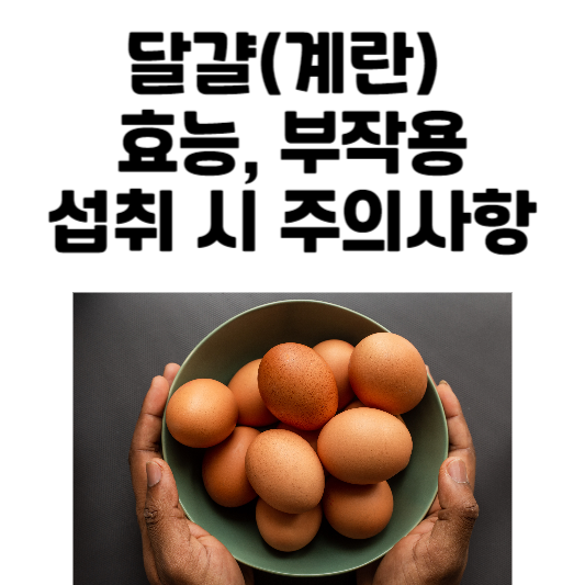달걀의 효능과 부작용, 계란의 주의사항