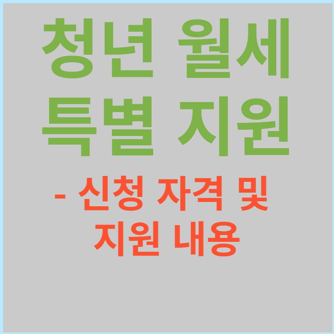 청년 월세 한시 특별 지원