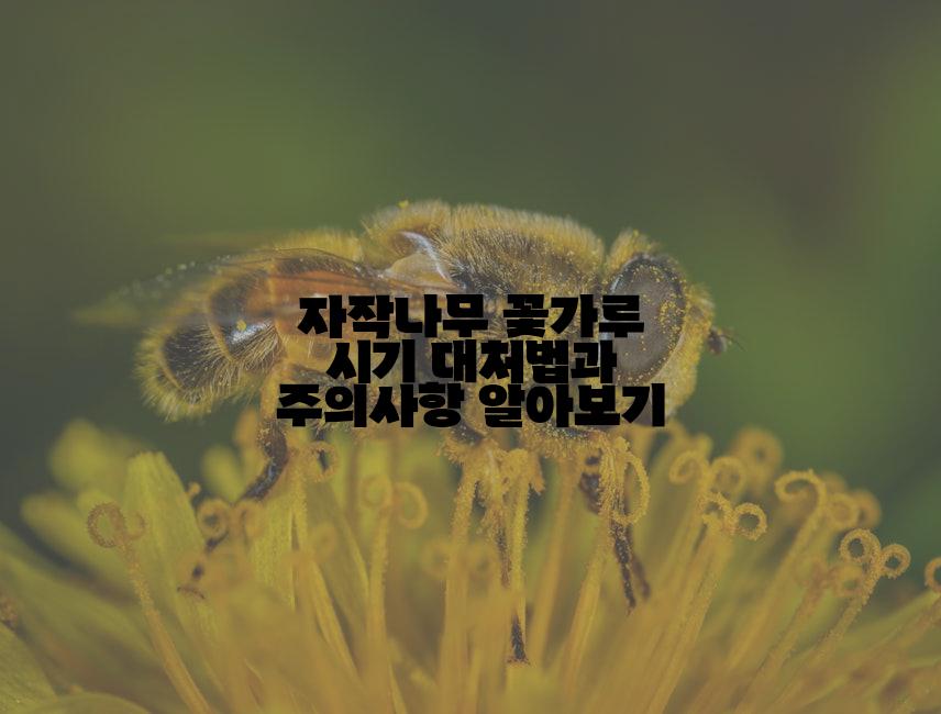 자작나무 꽃가루 시기 대처법과 주의사항 알아보기