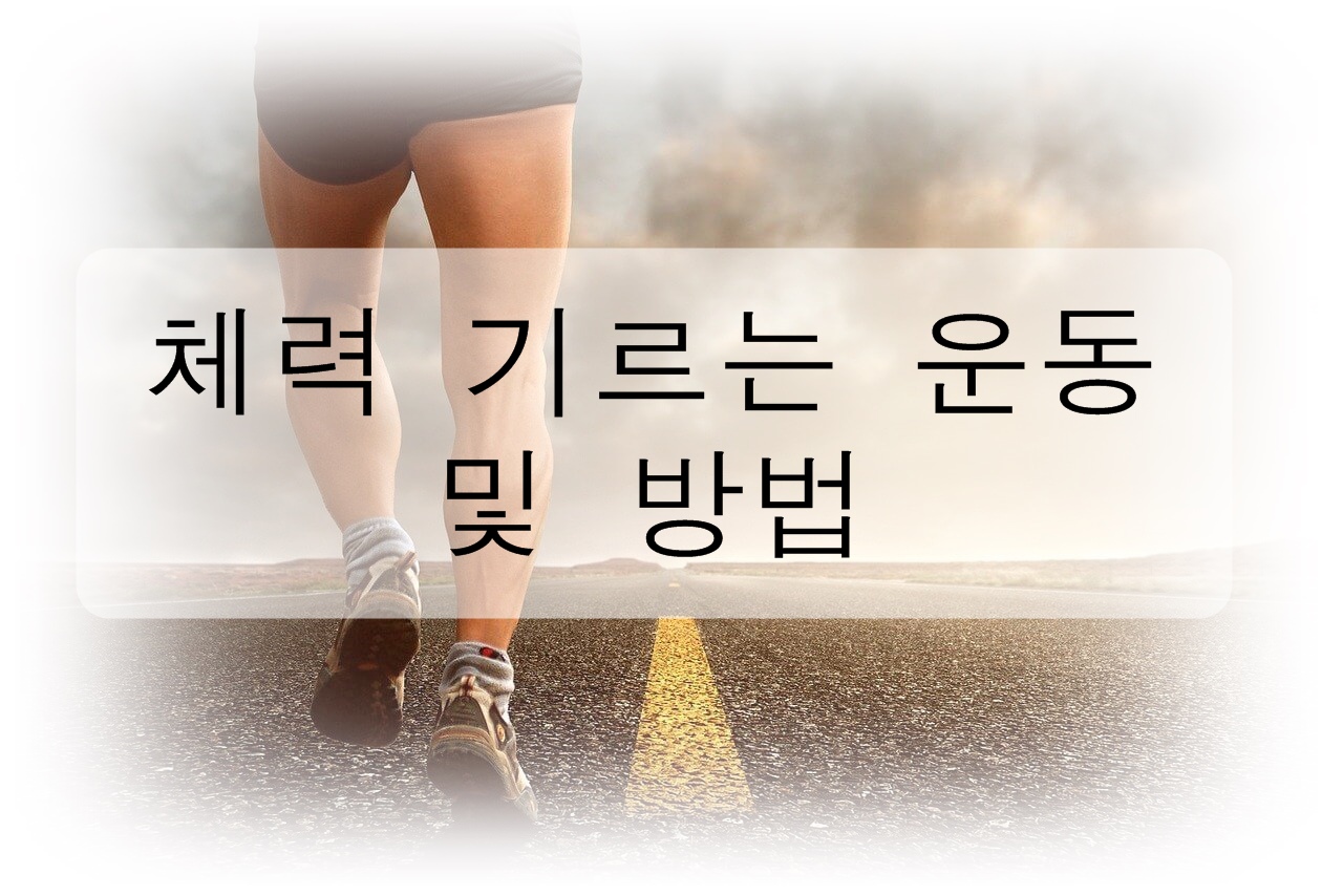 체력 기르는 운동 및 방법에 대해 알아보자!