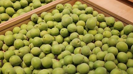 매실 효능 및 부작용, 먹는 방법