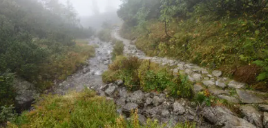 비 오는 날의 제주도 &ndash; 촉촉한 감성을 더하는 여행지들