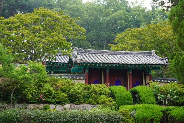 경상도 봄여행 가볼만한곳 베스트 10 완벽 여행 가이드_5