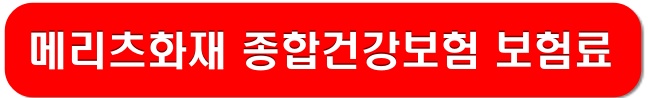 메리츠화재-종합건강보험-보험료-확인-사이트-링크-이미지