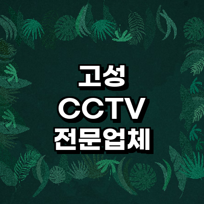 고성군 cctv