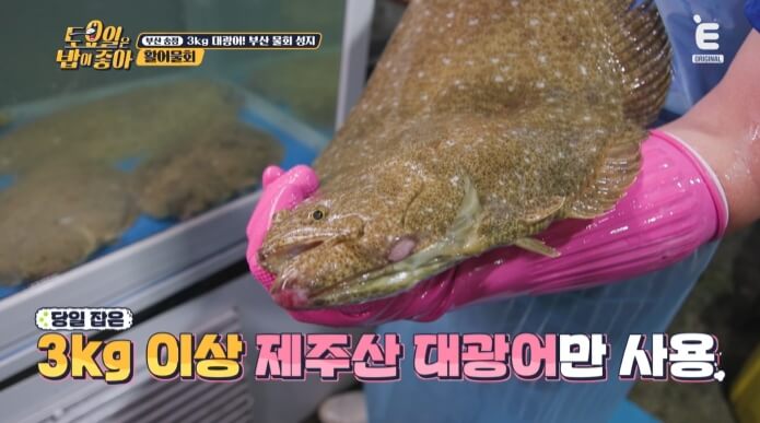 제주산-대광어