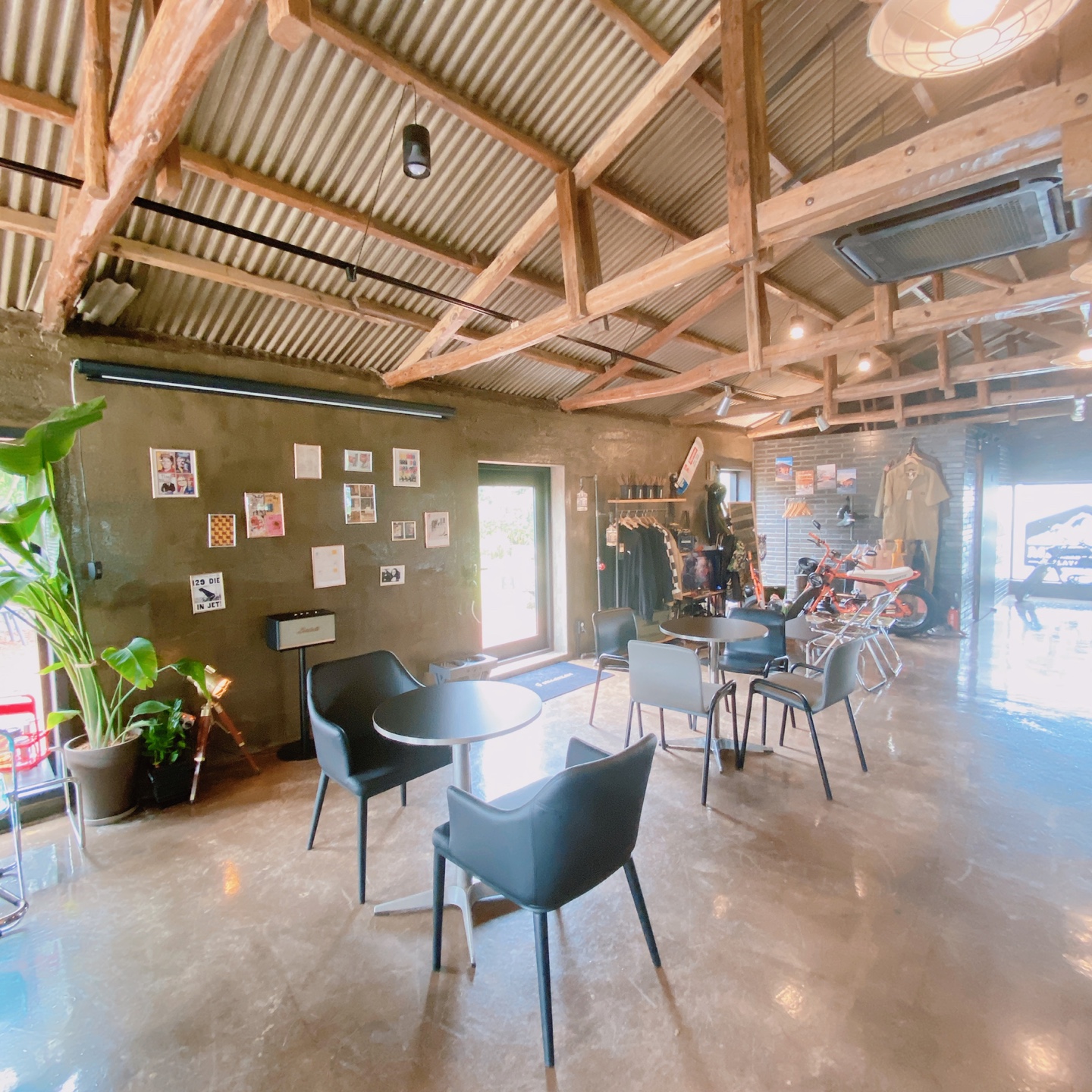 제주 한림 우리들의블루스 7밀리그램