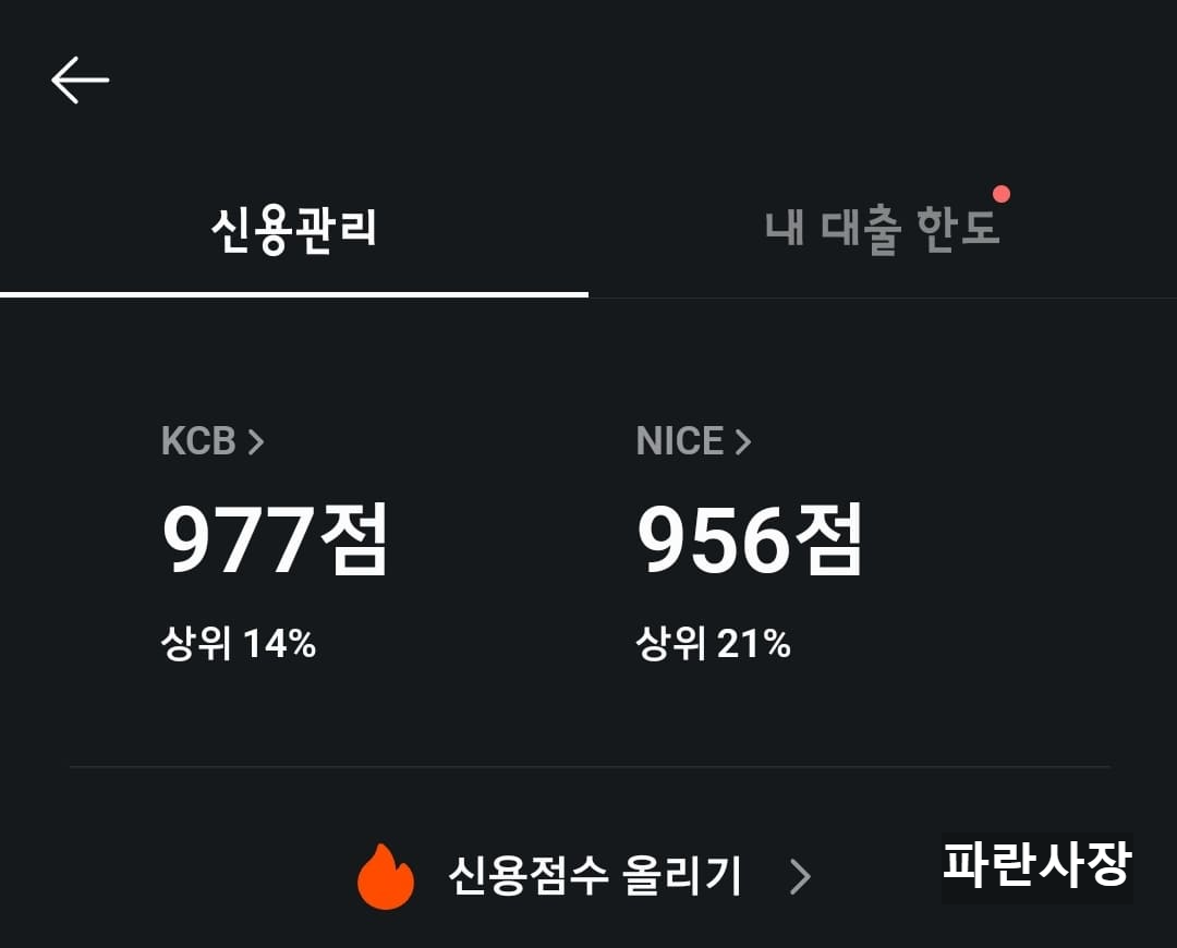 카카오페이-신용점수-결과-kcb-977점-nice-956점