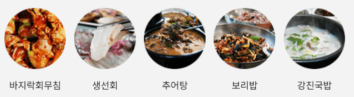 강진 서부해당화 봄꽃 축제