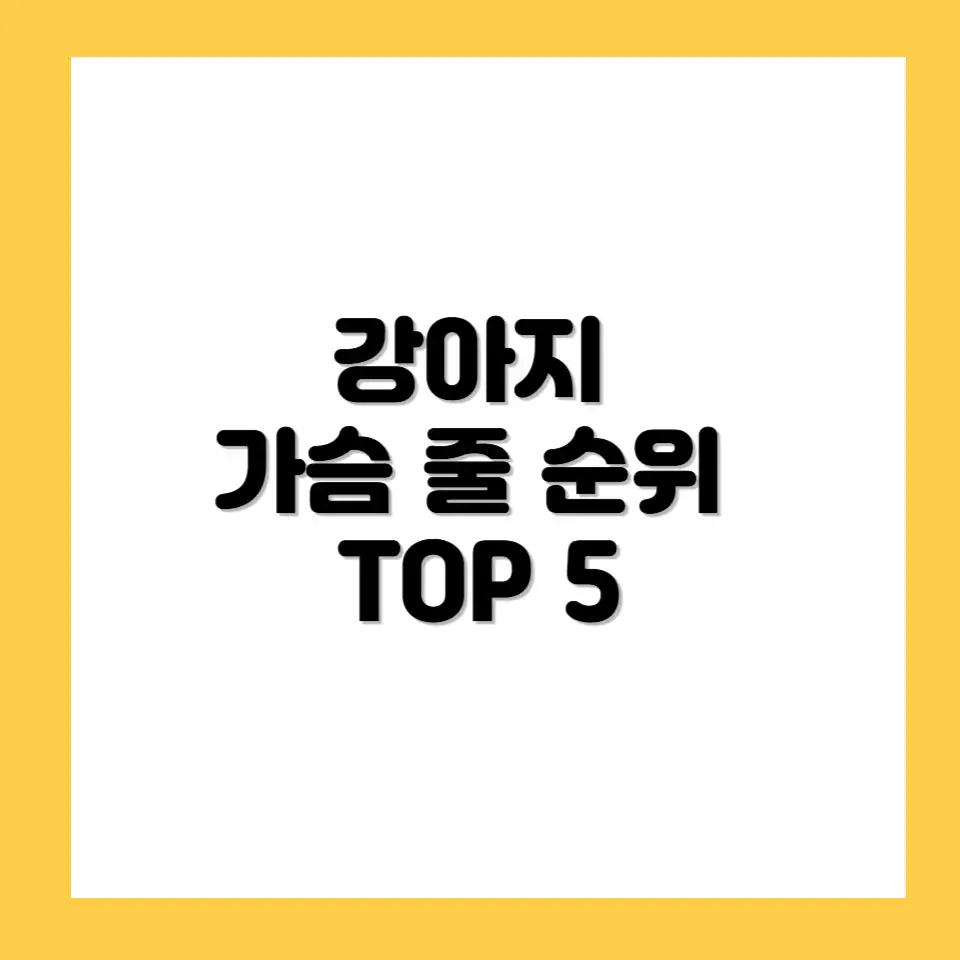 강아지 가슴 줄 순위 TOP 5