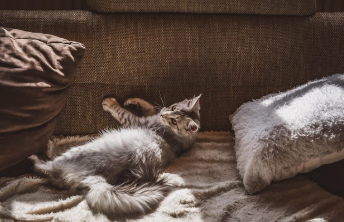 부동산 중개수수료 계산 바로 가기 16