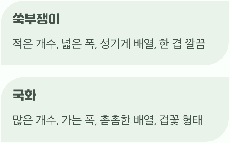 꽃잎의 수와 배열