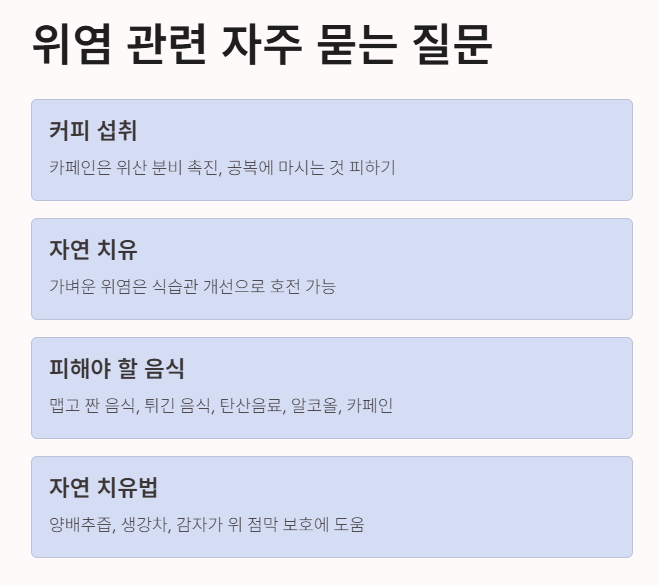자주 묻는 질문