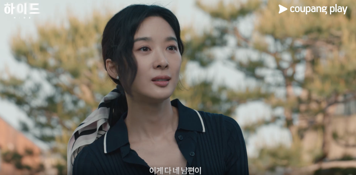 드라마 하이드