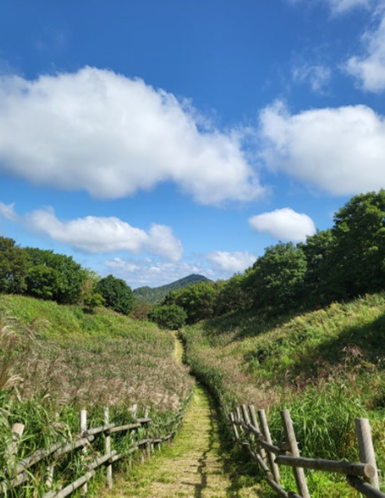 민둥산 억새꽃축제