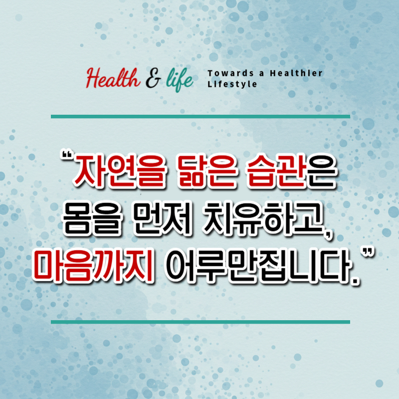 자연을 닯은 습관은 몸을 먼저 치유하고 마음까지 어루만집니다. 라는 메시지를 전하는 감성 인용구 이미지입니다.