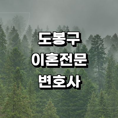 서울 도봉구 이혼 변호사