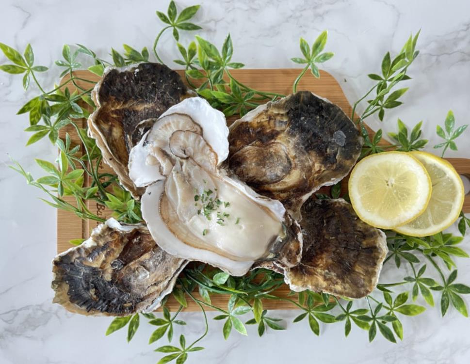 거대한 생생정보 미스터리 벚굴