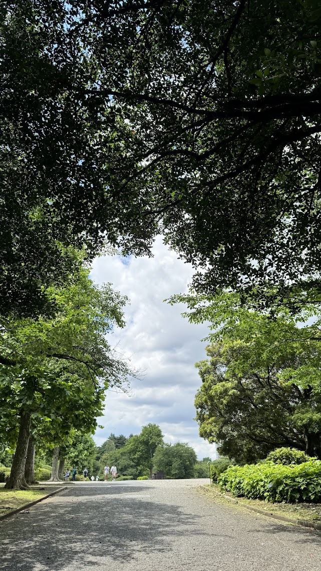 여행을 마무리하며 천천히 걸었던 산책로, 나무 그늘 아래의 고요한 오후