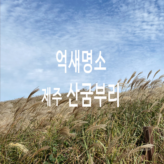 산굼부리