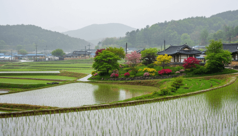 2025년 장마기간 시작일 및 지역별 강수량