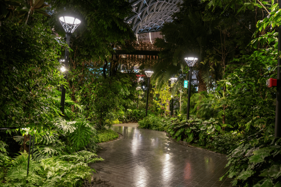 한국의 사계절 수목원과 식물원