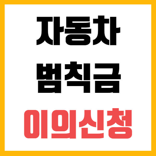 자동차 범칙금