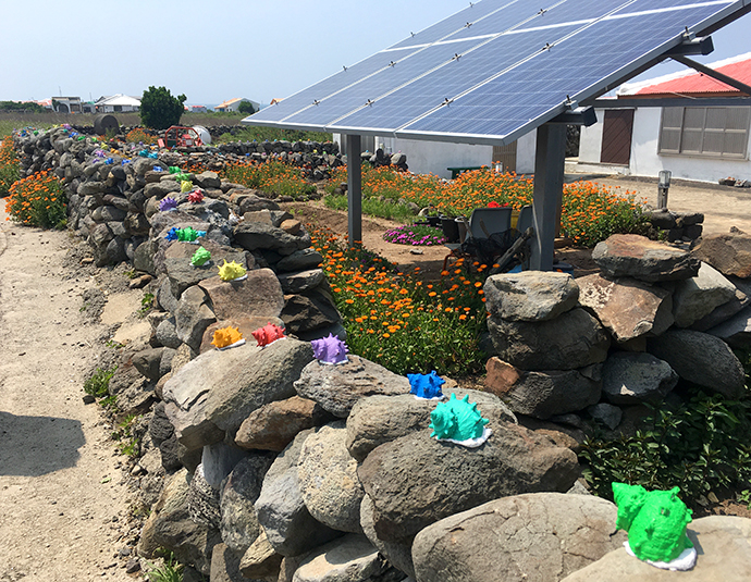 가파도-풍경-자전거-타고-즐기기25