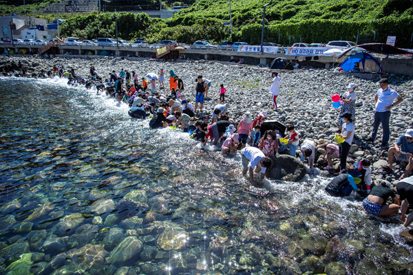 울릉도 오징어축제 완벽 가이드 | 2025년 여름 섬 축제