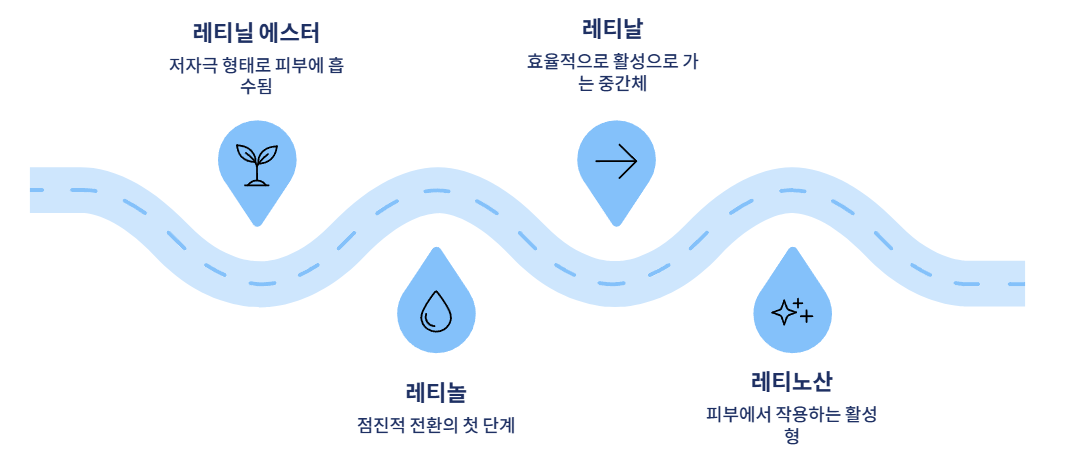 레티놀 효과