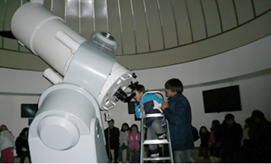 순천만습지 갈대밭