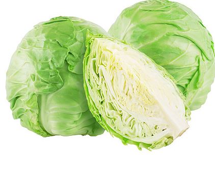 위암에좋은음식