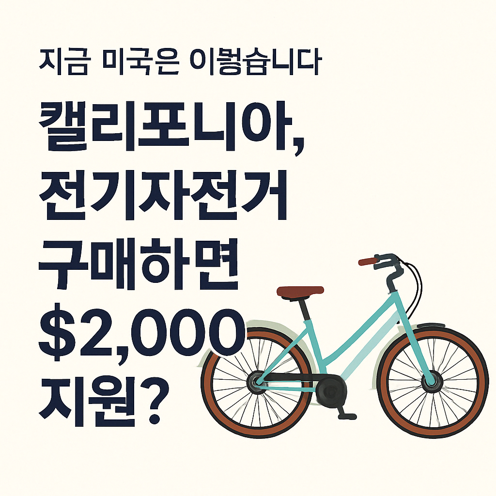 캘리포니아 전기 자던거 보조금 포스터 이미지