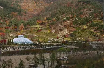 고산 자연휴양림_9