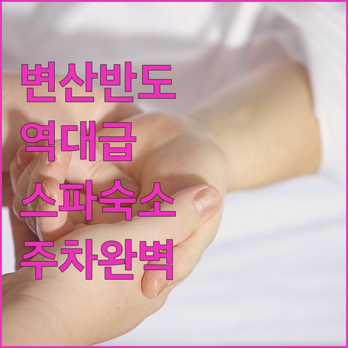 부안 변산반도 근처 호텔 추천 스파와..