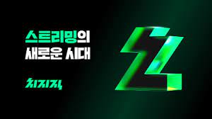 google-확장-프로그램-추천-다운로드-naver-치지직