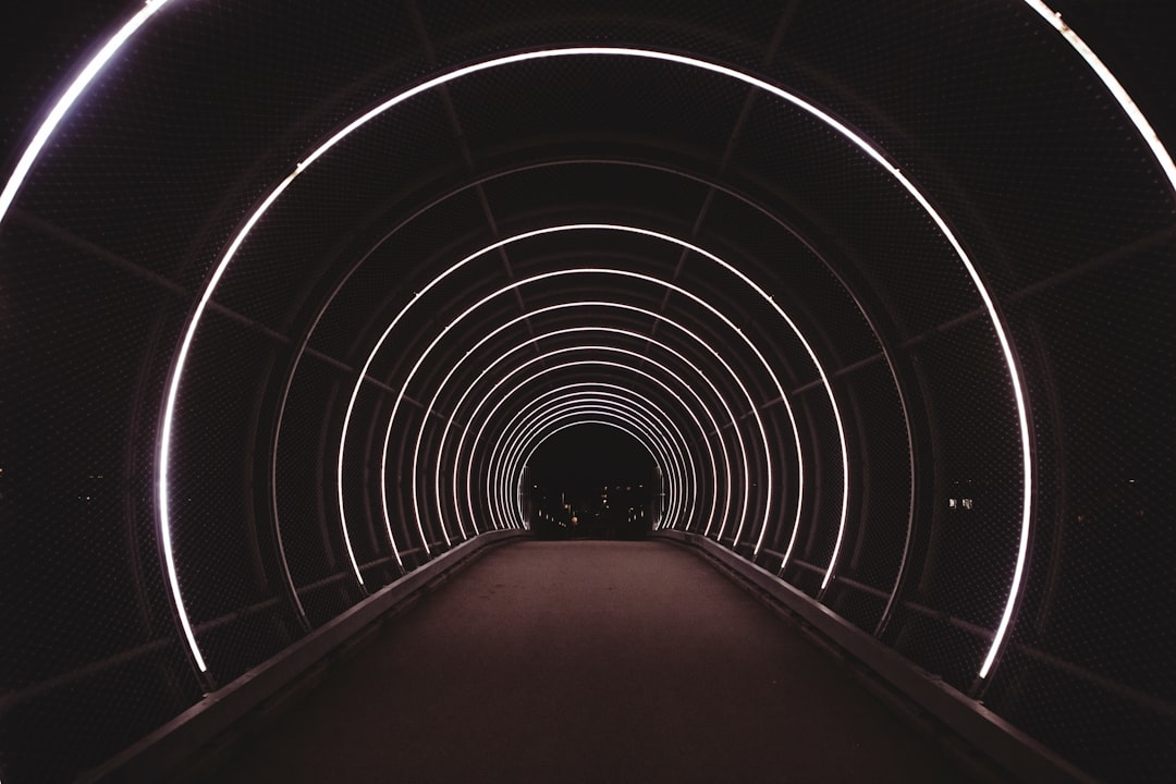 Vision