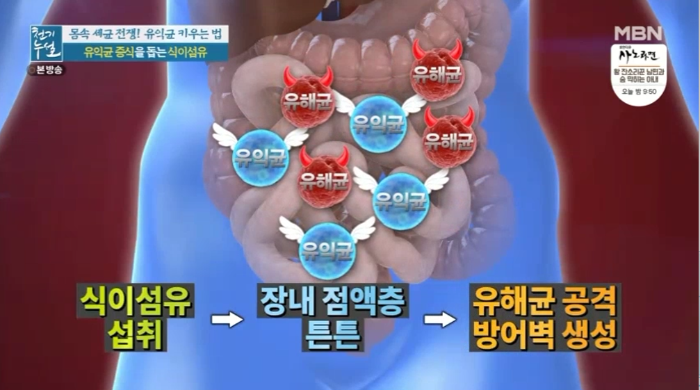 대추 사과대추 효능 대추차 생대추 건대추 고르는법 칼로리 보관법